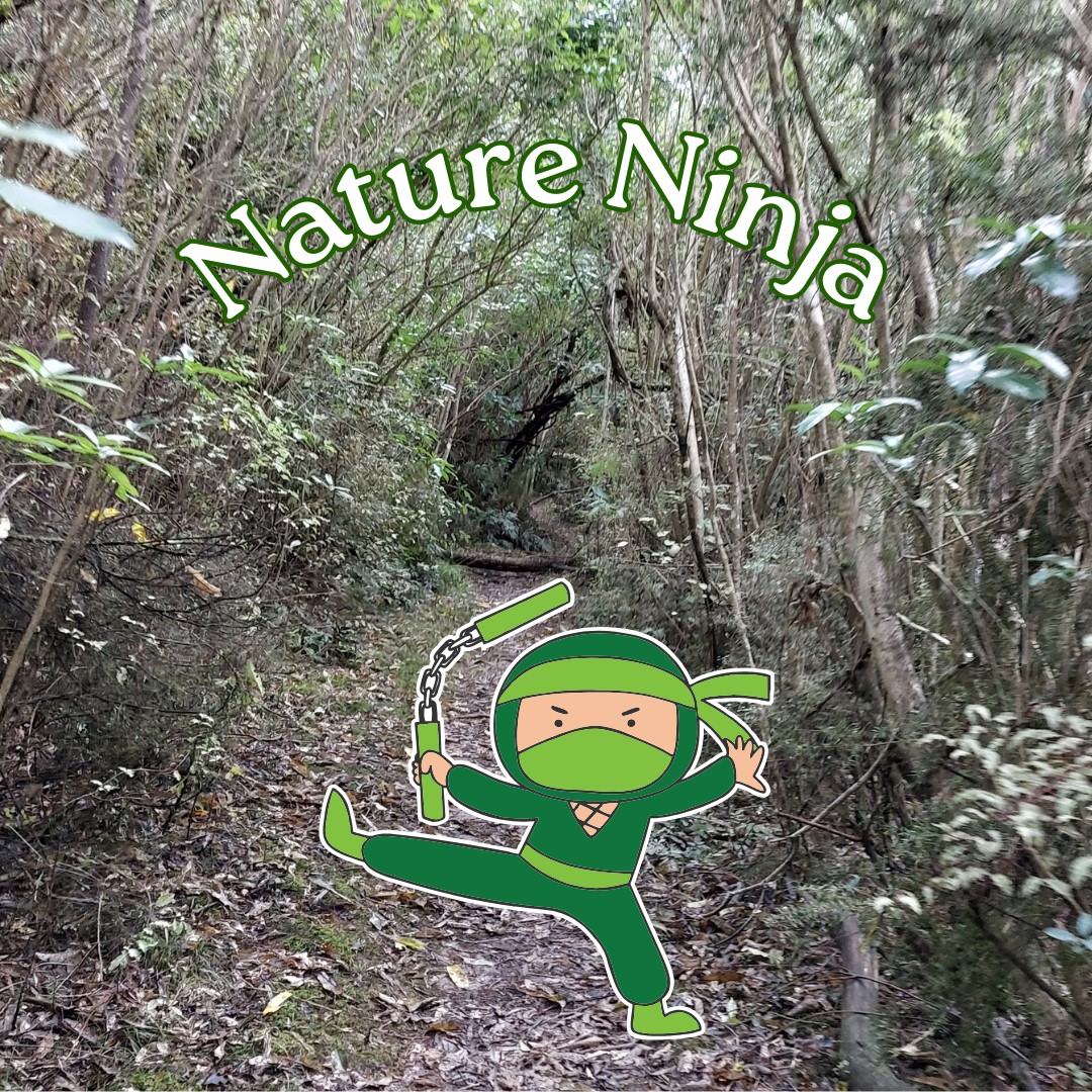 Nature Ninja - Sustainability Festival workshop