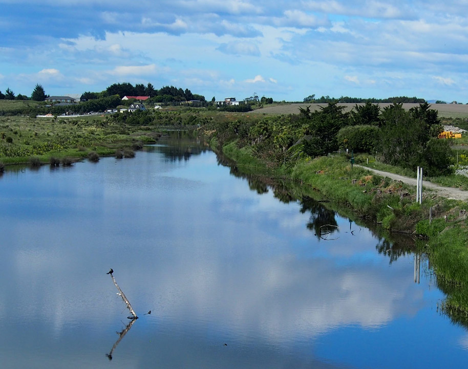 Guided Riverside and Wetlands Walk - Sustainability Festival workshop