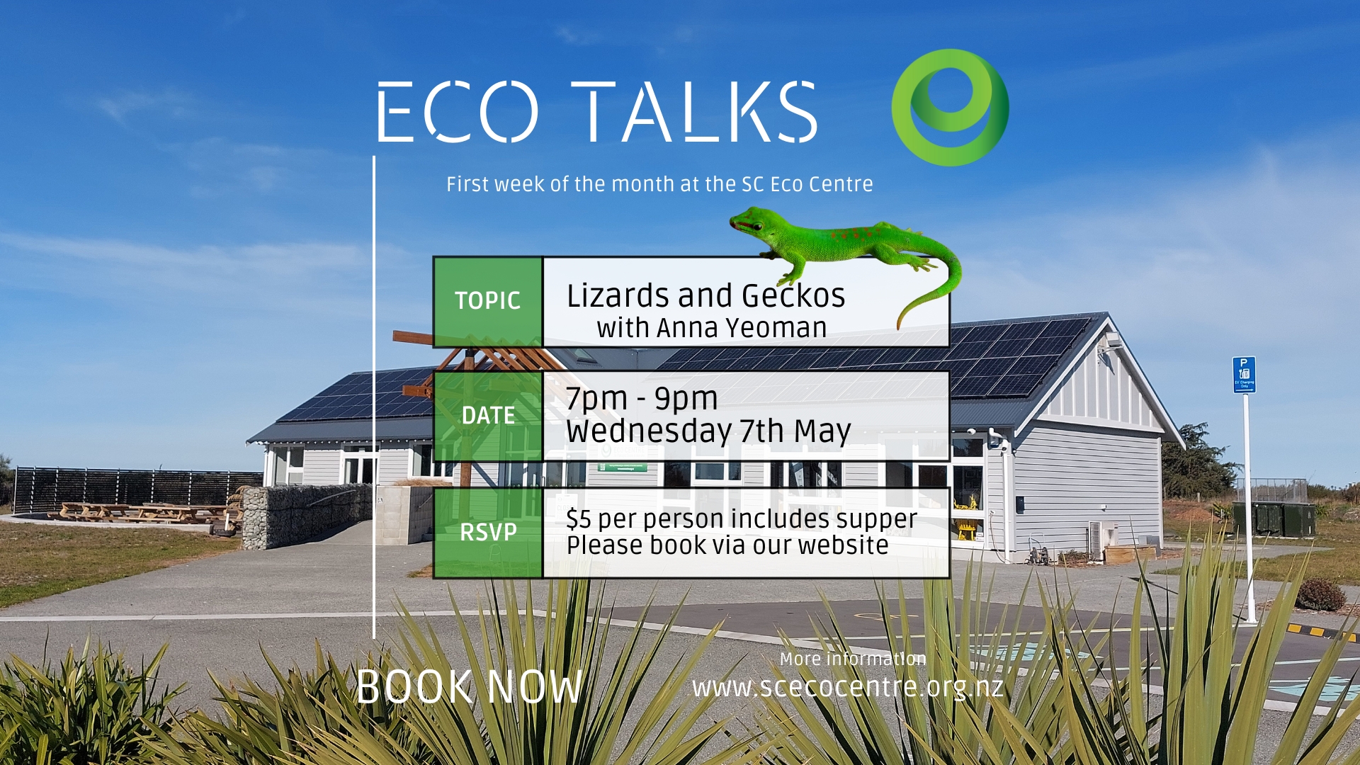 Eco Talks May - Geckos and Lizards