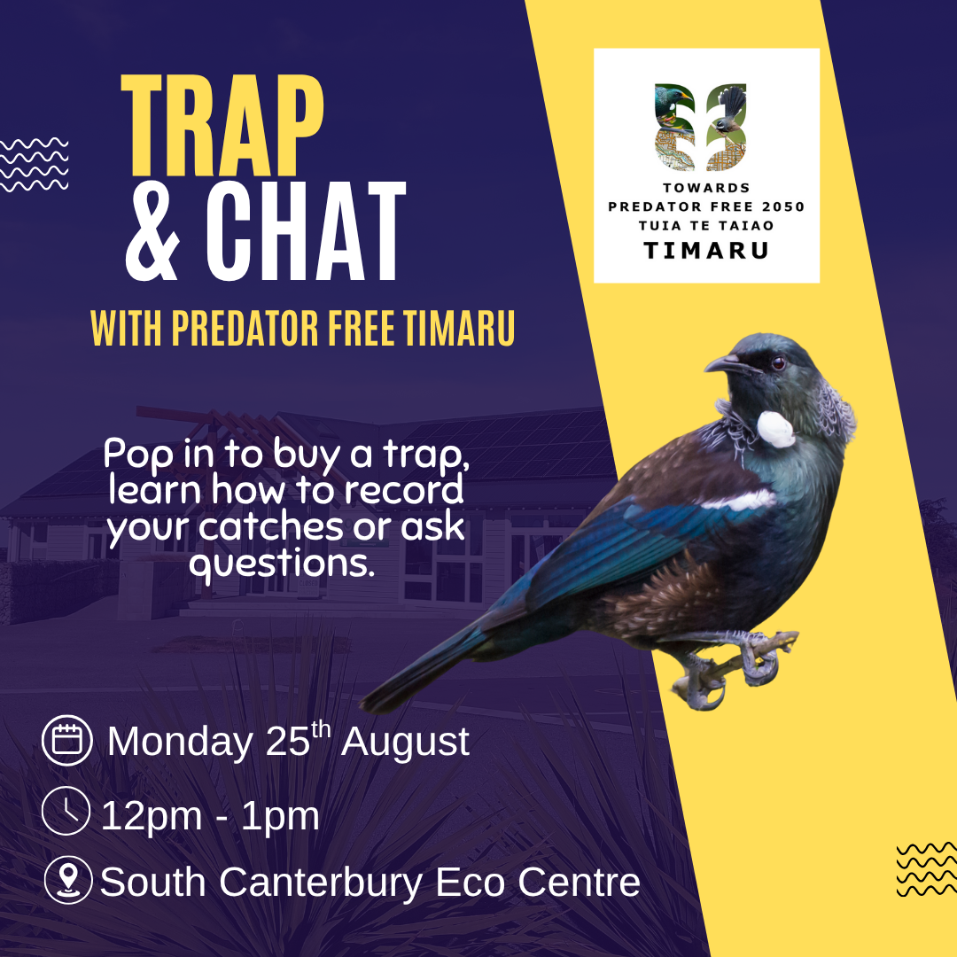 Trap and Chat - Predator Free Timaru support