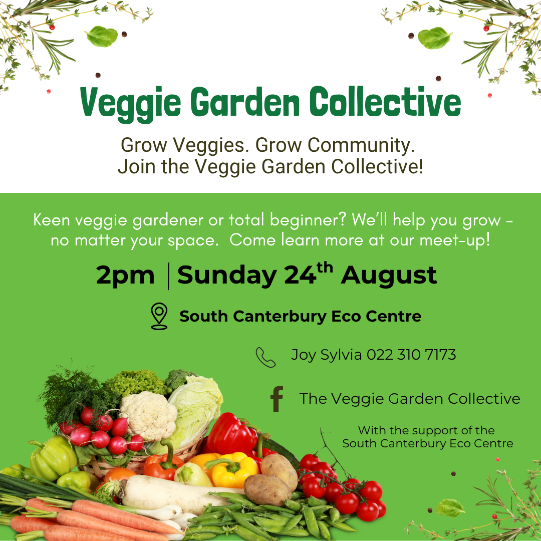 Veggie Garden Collective - Meet up
