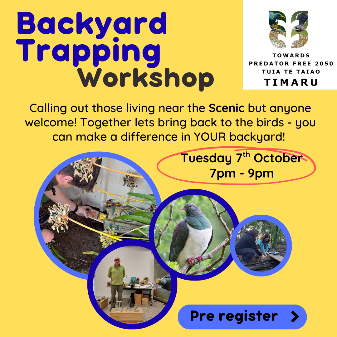 Backyard Trapping Workshop with Predator Free Timaru