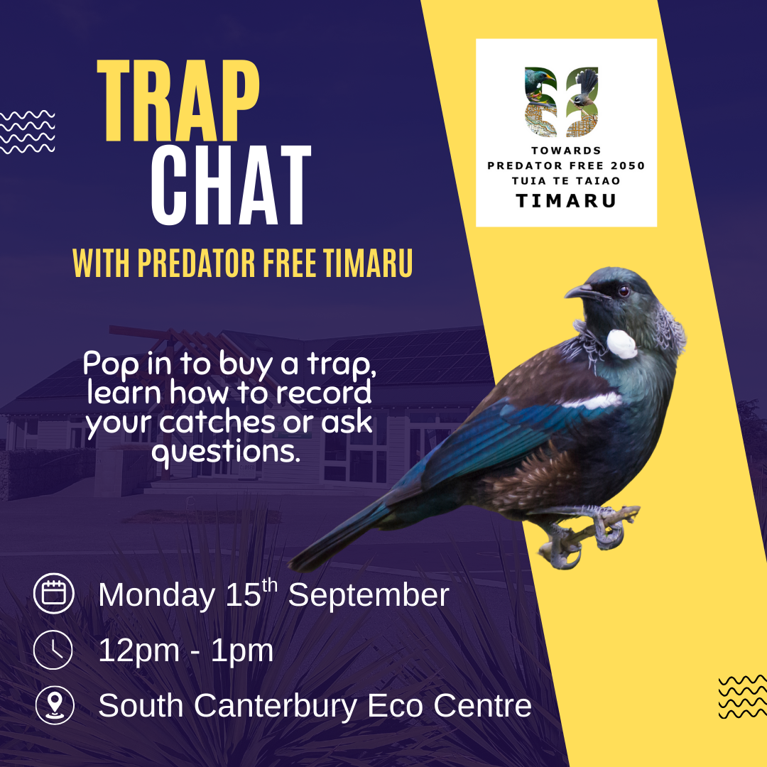 Trap Chat pop in with Predator Free Timaru