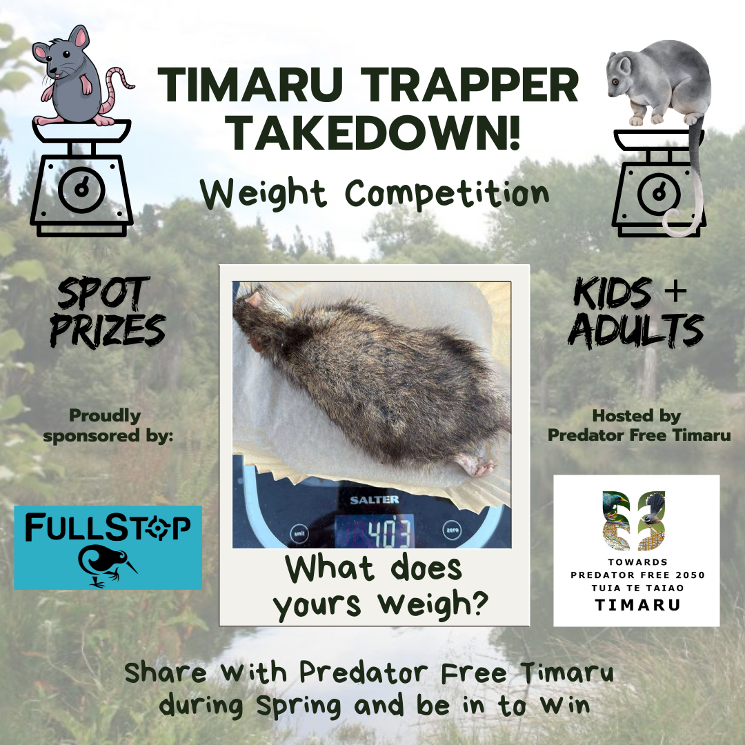 Timaru Trapper Takedown - weight competition