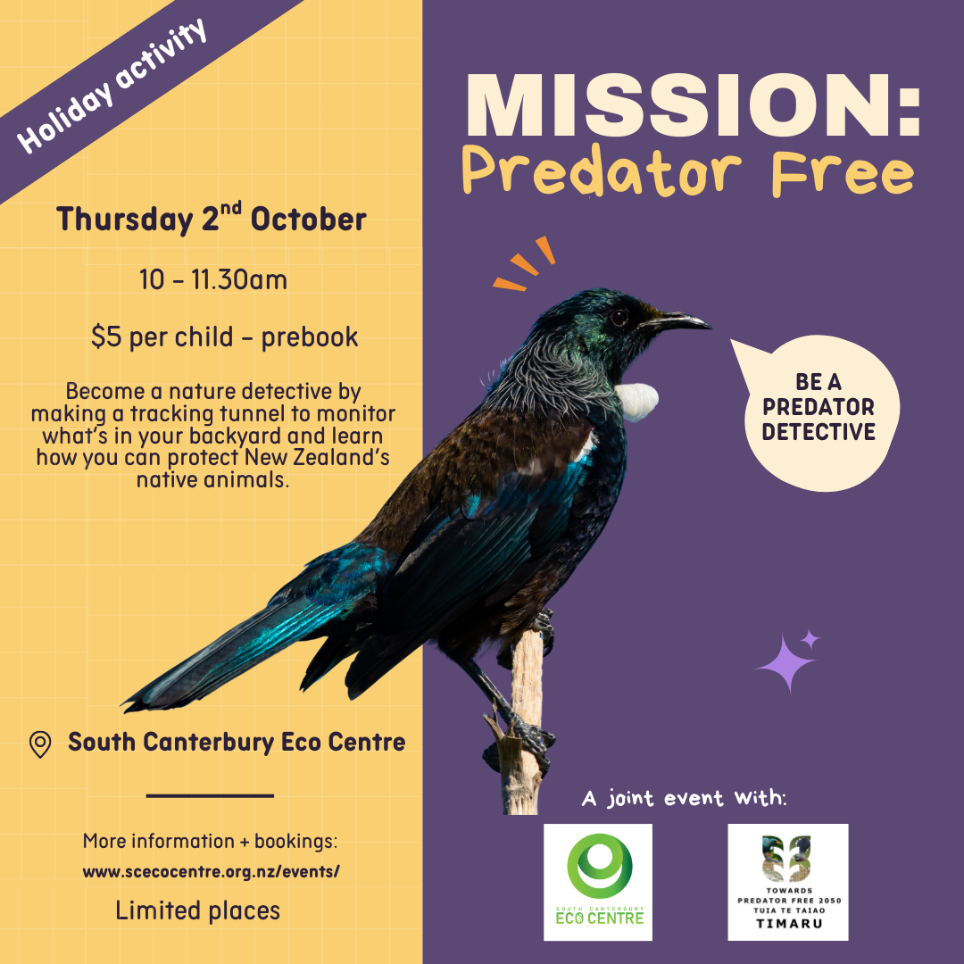 Mission: Predator Free - kids holiday activity
