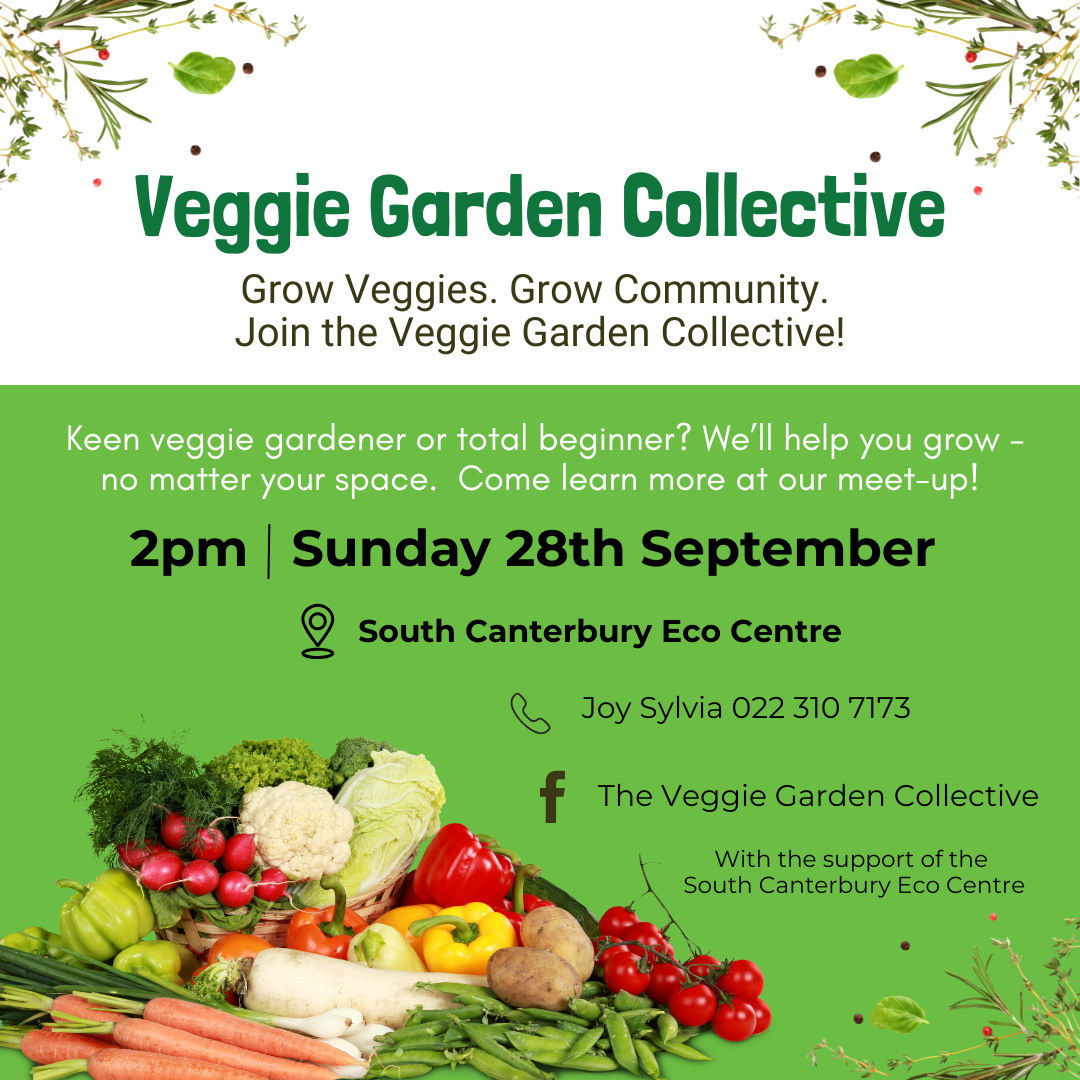 Veggie Garden Collective - Meet up