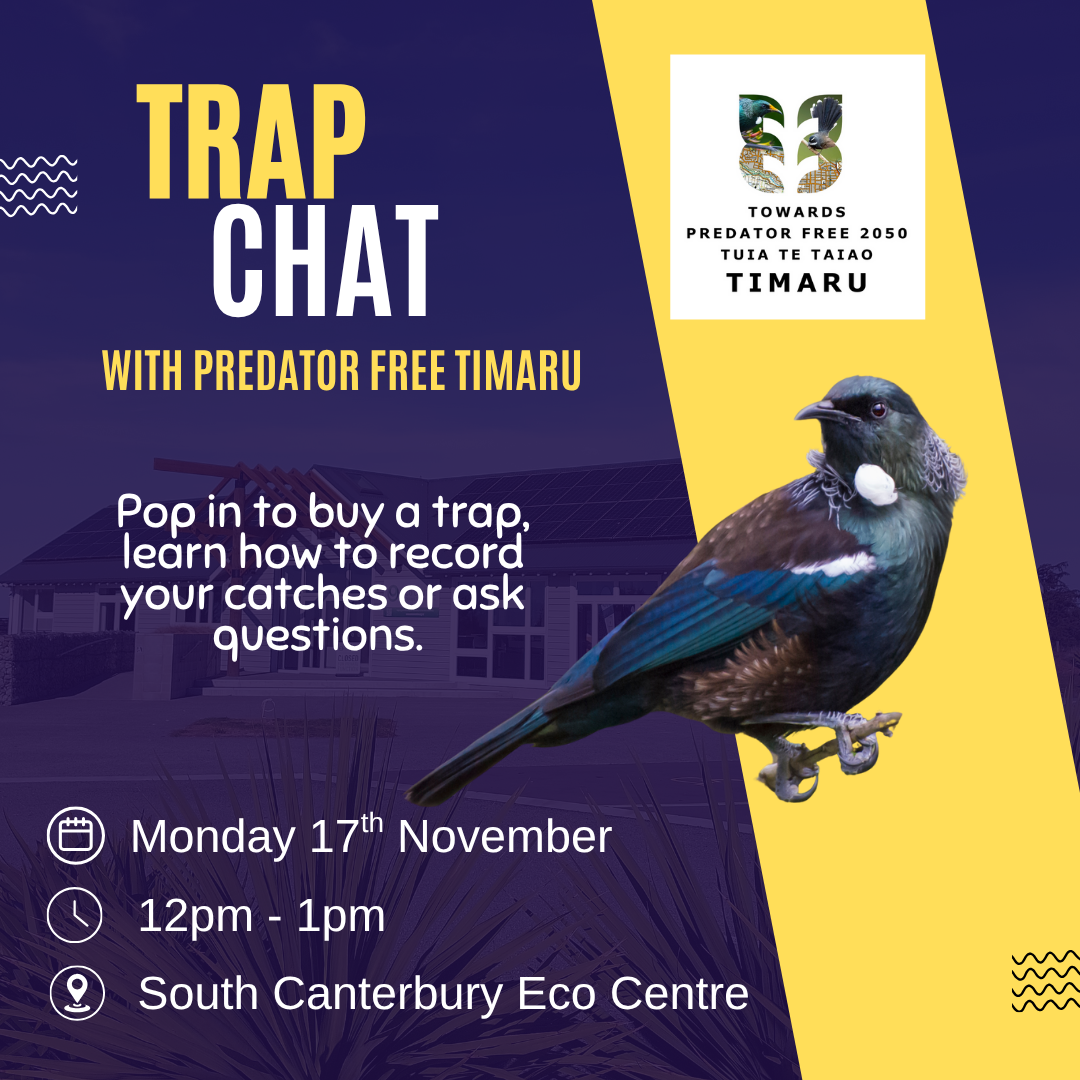 Trap Chat - Predator Free Timaru support