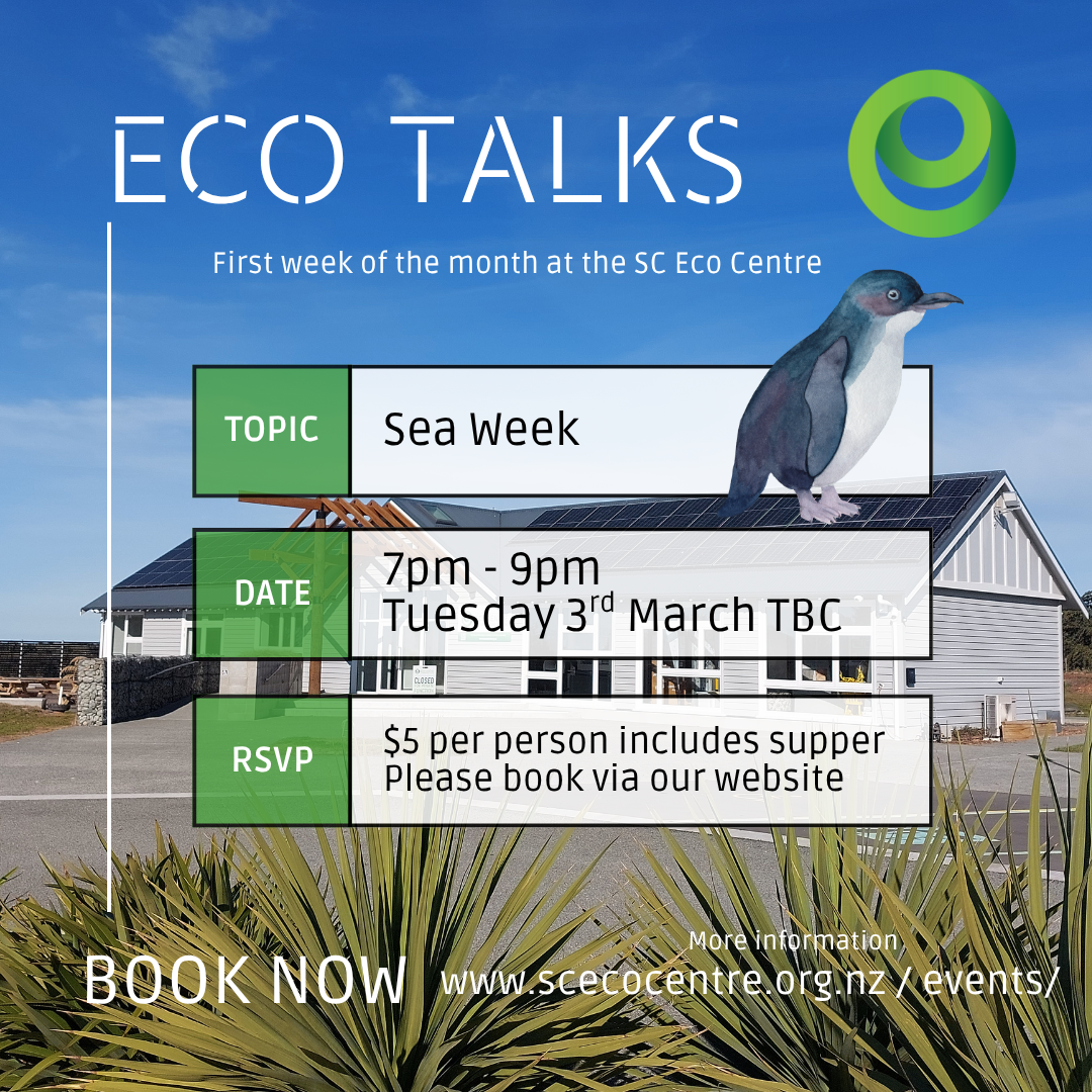 Sea Week - Eco Talk
