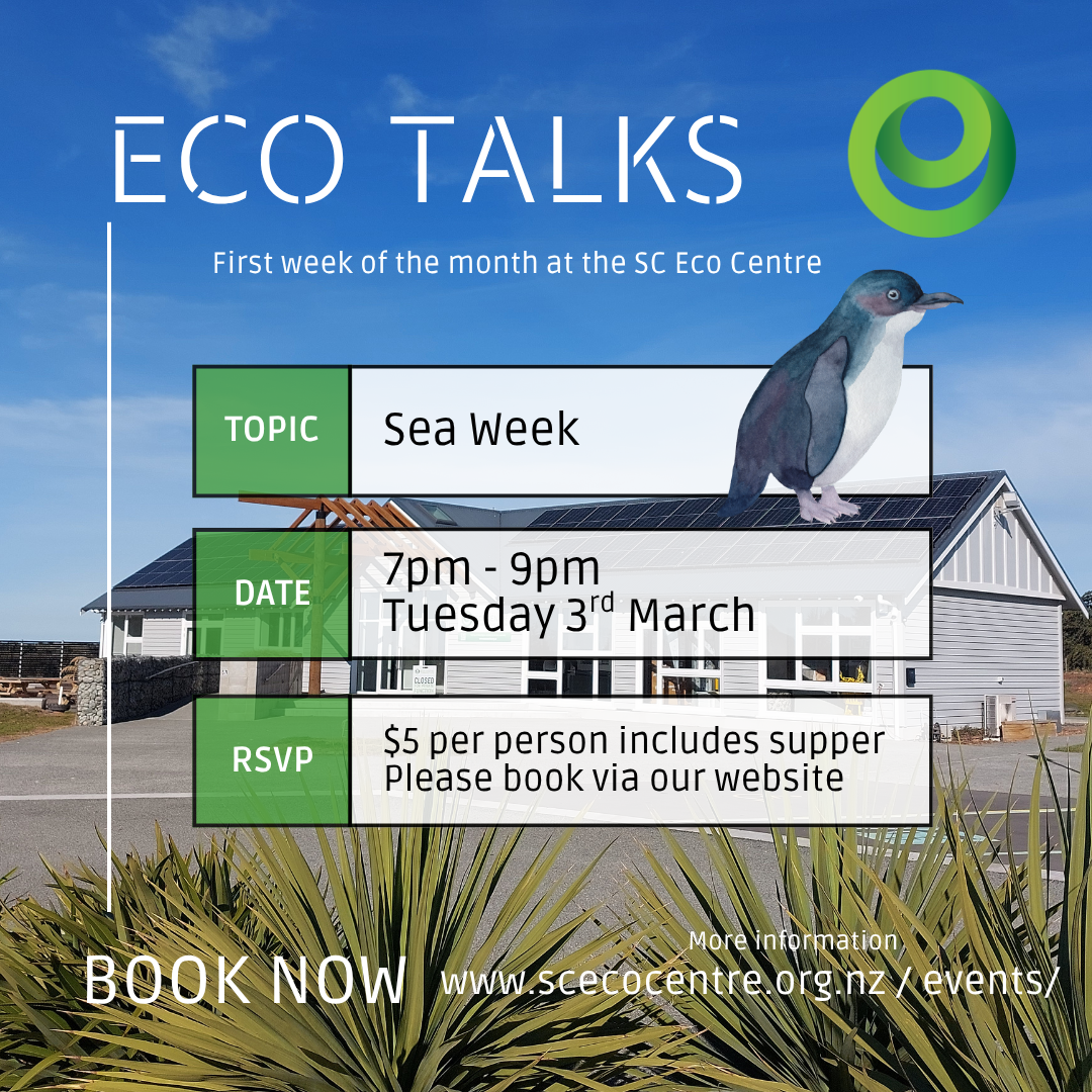 Eco Talk - Sea Week