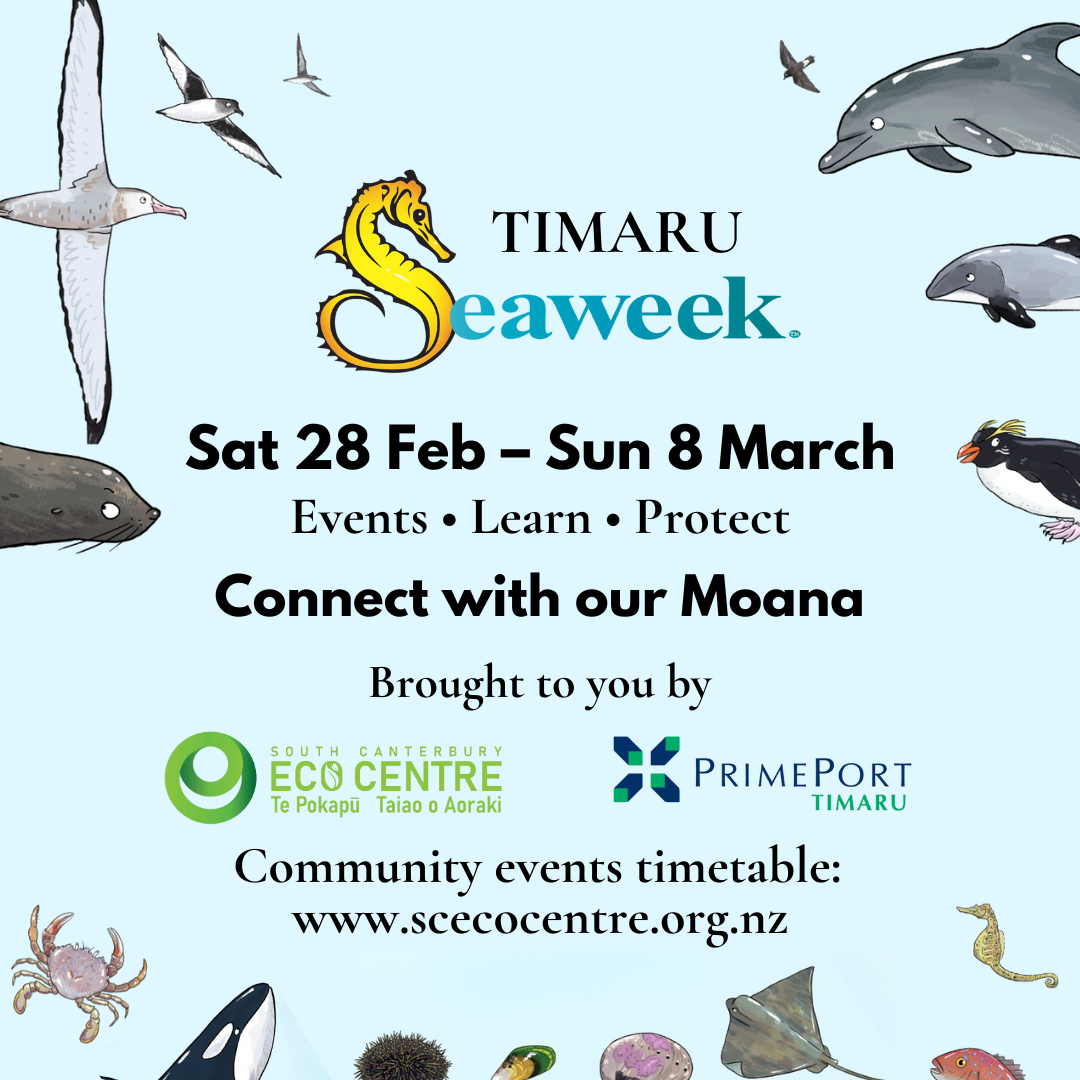 Sea Week Timaru