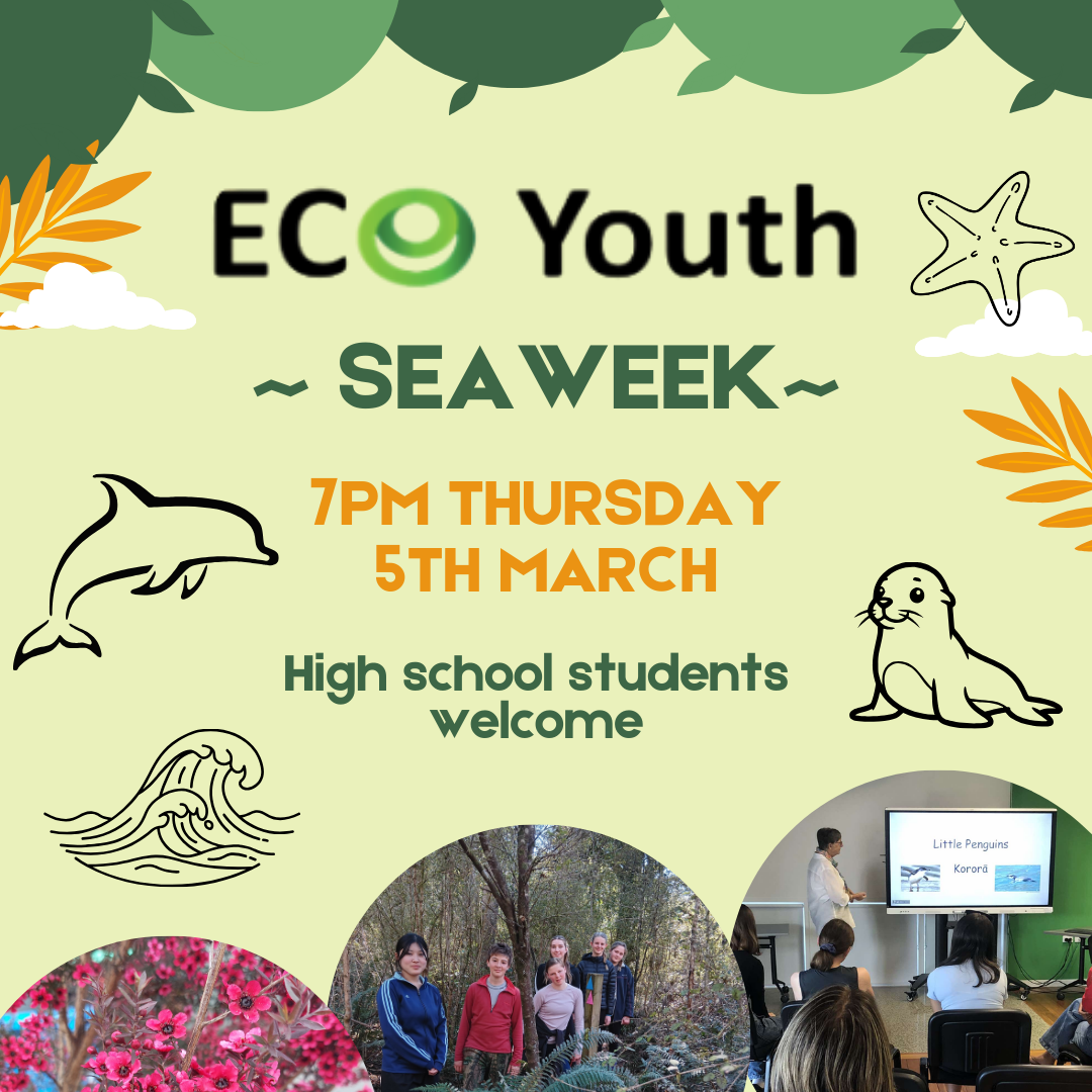 Eco Youth - Seaweek