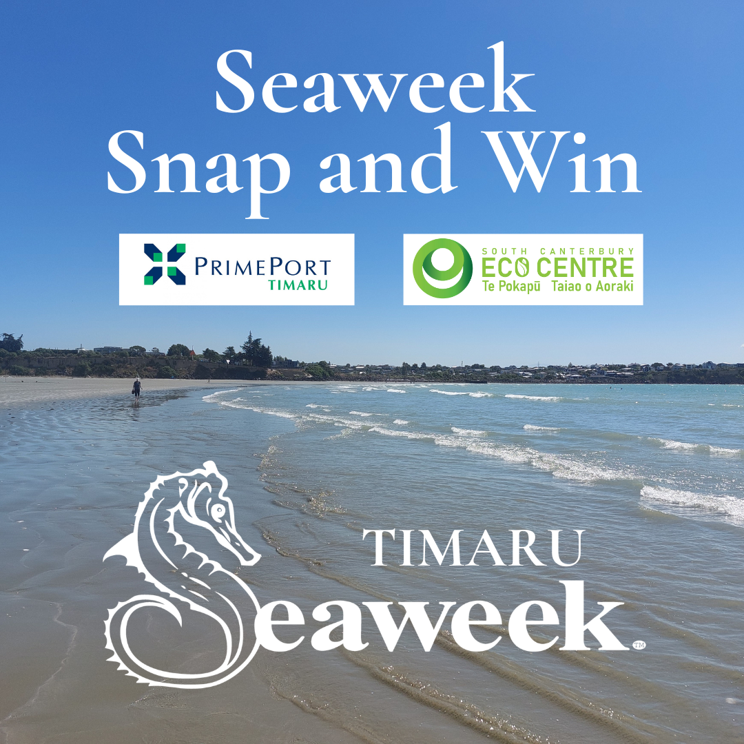 Seaweek Snap and Win