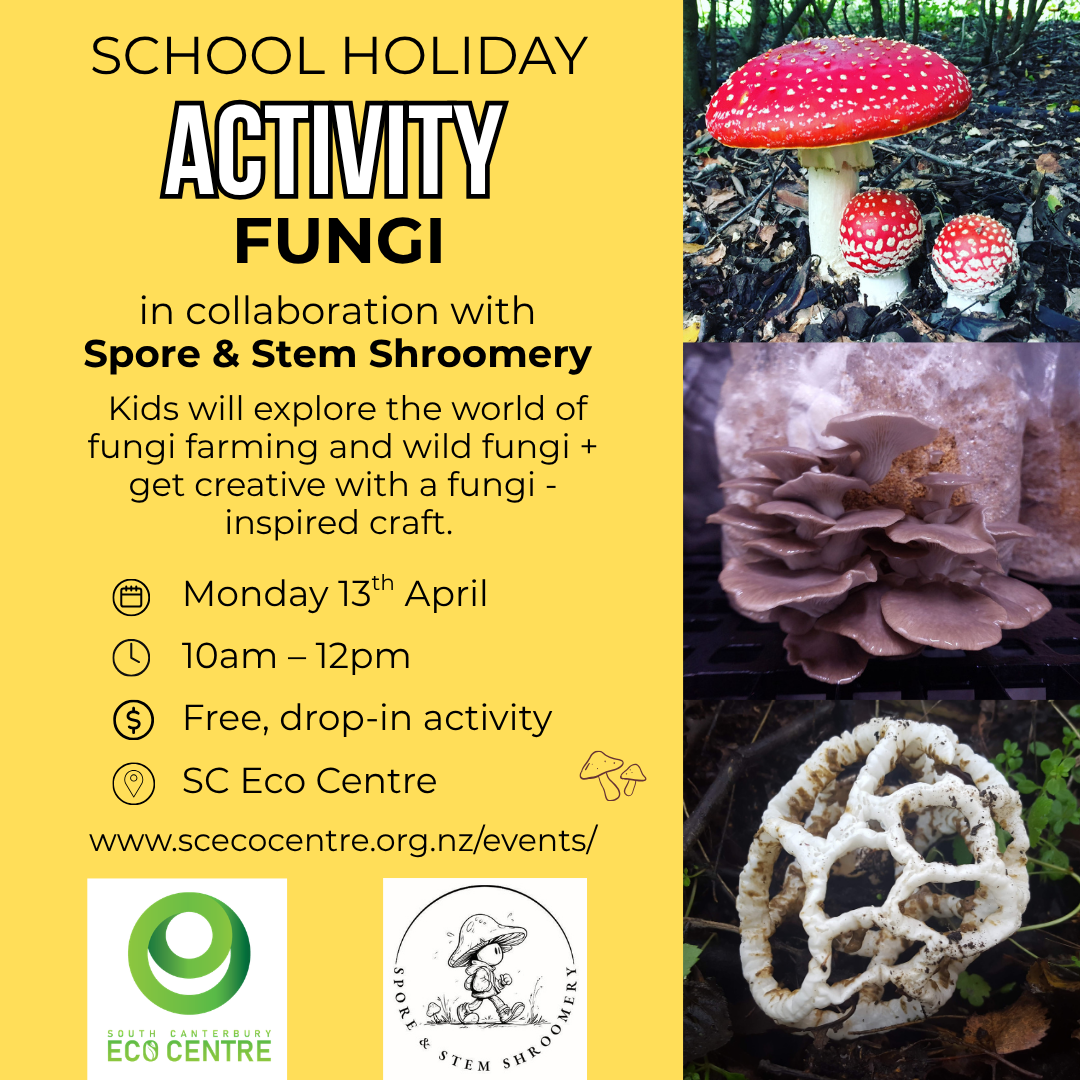 School Holiday Activity - Fungi Fun