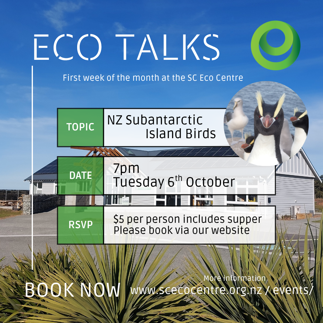 Eco Talk - NZ Subantarctic Island Birds