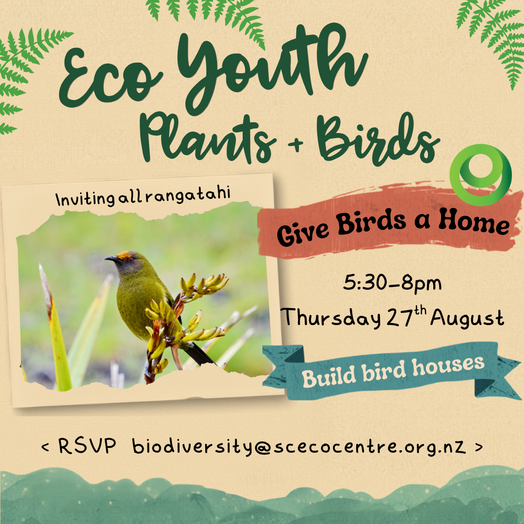 Eco Youth - Plants + Birds