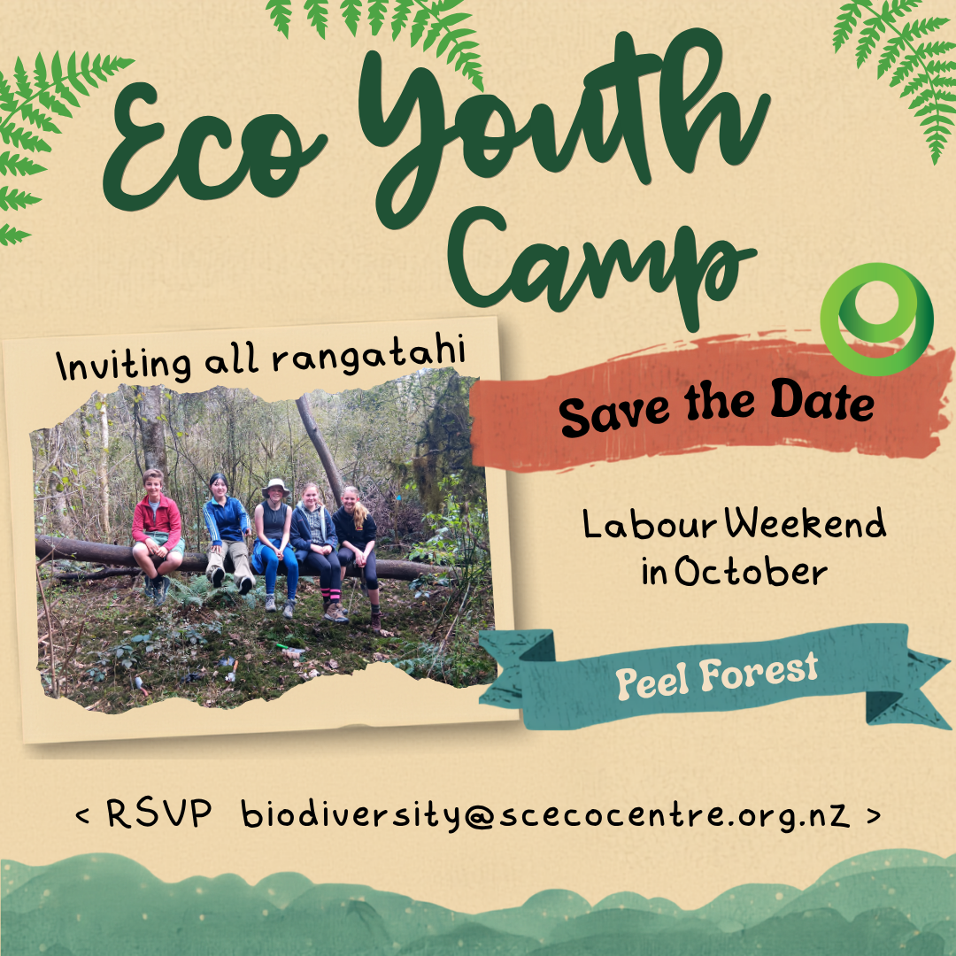 Eco Youth Camp