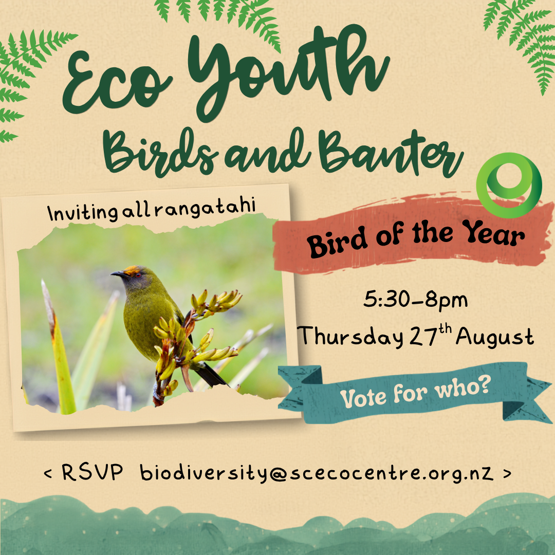 Eco Youth - Birds & Banter