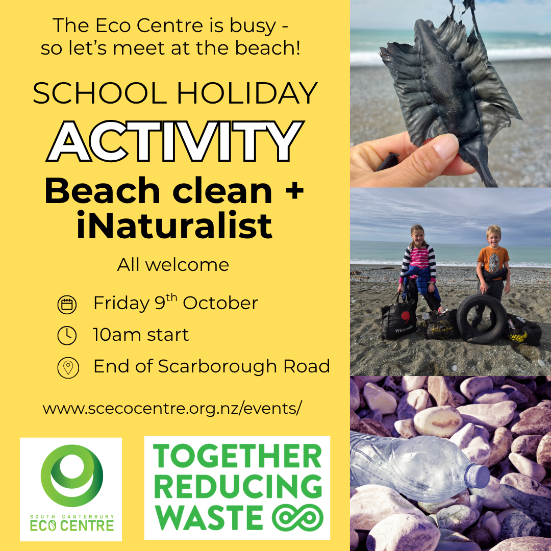 Beach Clean + iNaturalist
