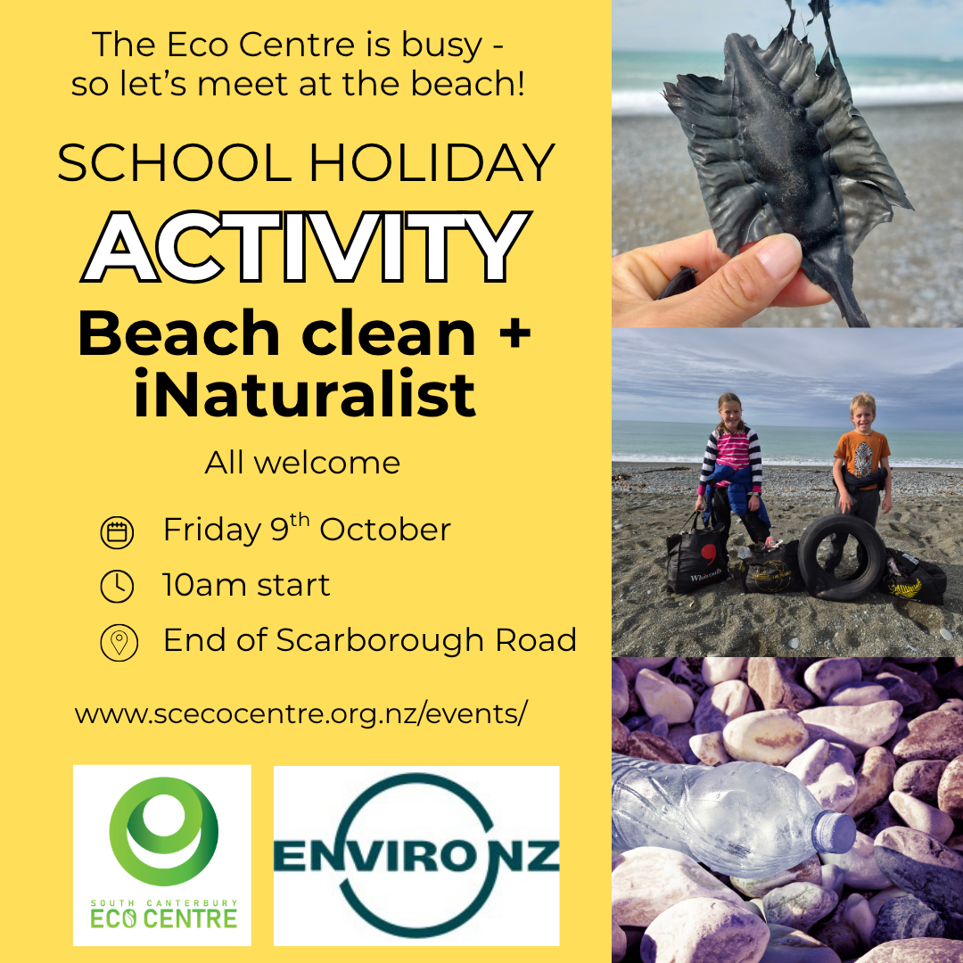 Beach Clean + iNaturalist